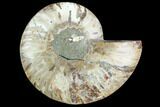 Agatized Ammonite Fossil (Half) - Madagascar #125054-1